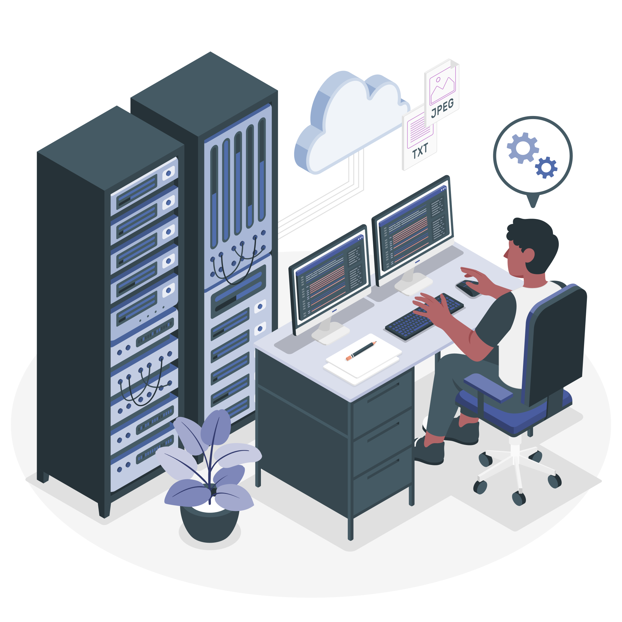 L3 Network & System Engineer